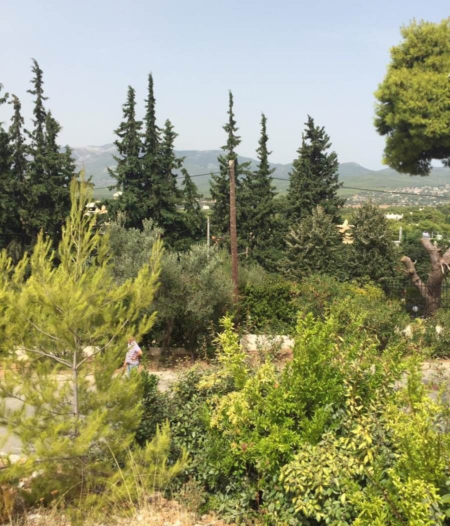 (Προς Πώληση) Αξιοποιήσιμη Γη Οικόπεδο || Αθήνα Βόρεια/Εκάλη - 803 τ.μ, 800.000€ 