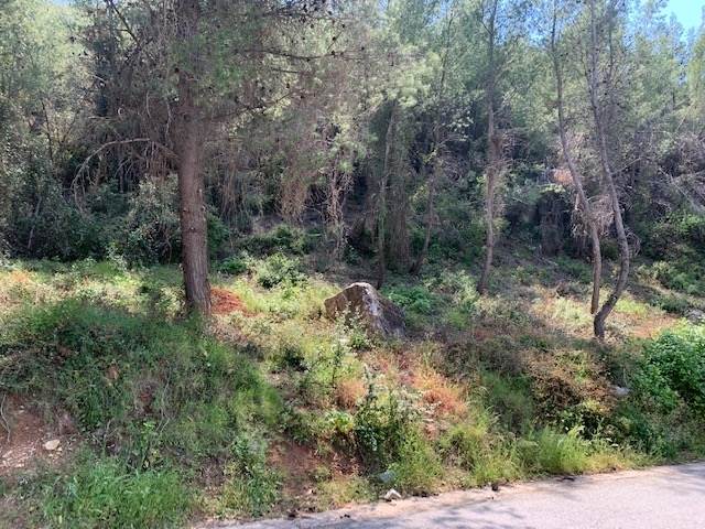 (Προς Πώληση) Αξιοποιήσιμη Γη Οικόπεδο || Ανατολική Αττική/Διόνυσος - 702 τ.μ, 260.000€ 