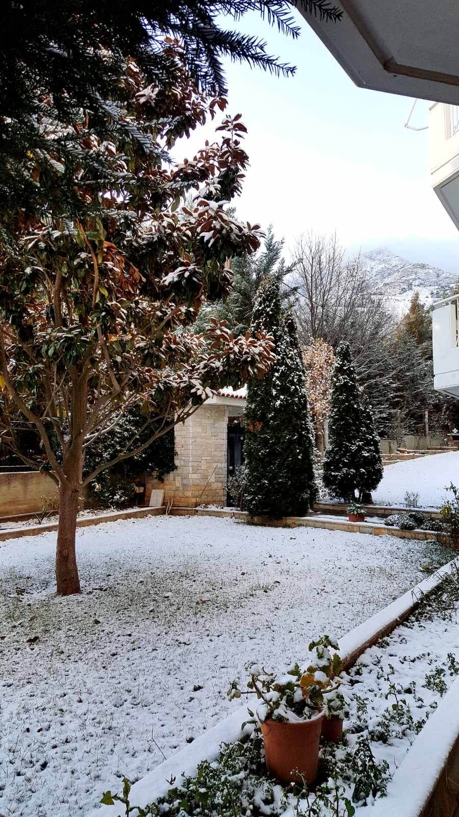 (Προς Πώληση) Κατοικία Διαμέρισμα || Ανατολική Αττική/Διόνυσος - 153 τ.μ, 3 Υ/Δ, 400.000€ 