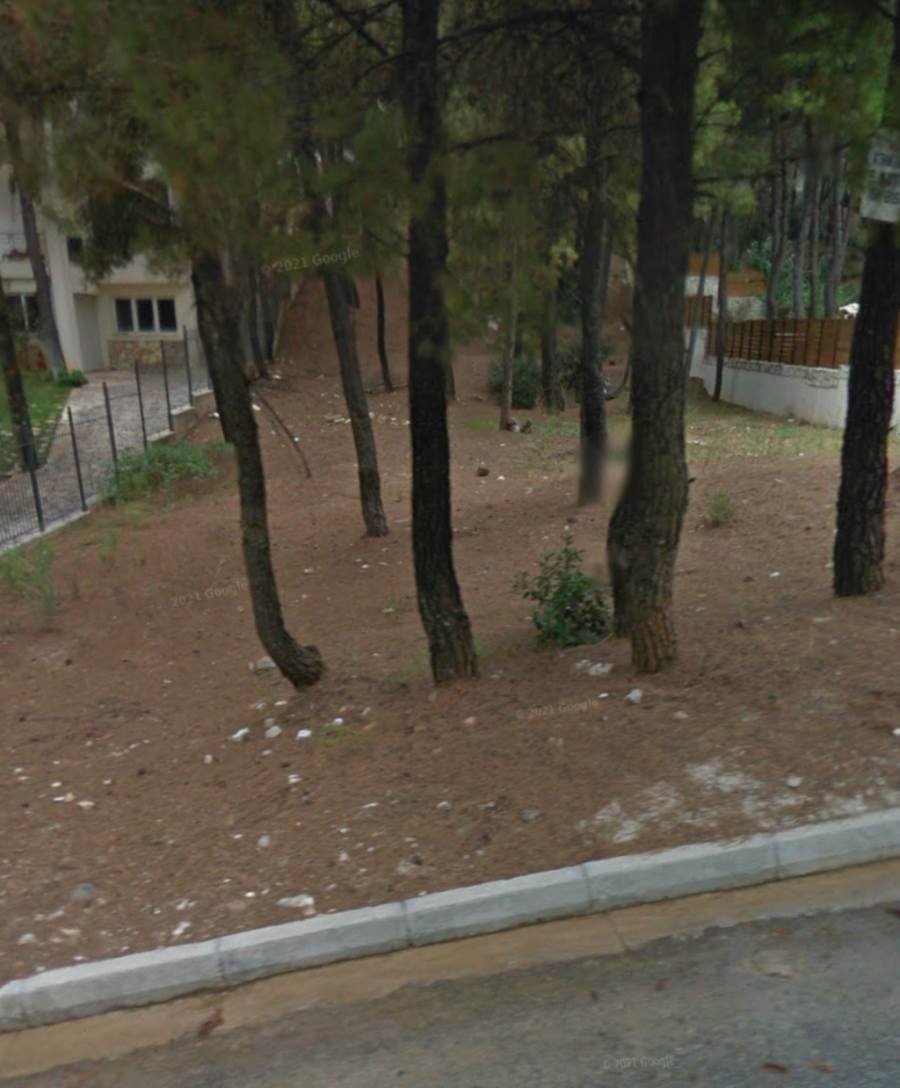 (Προς Πώληση) Αξιοποιήσιμη Γη Οικόπεδο || Ανατολική Αττική/Διόνυσος - 800 τ.μ, 228.000€ 