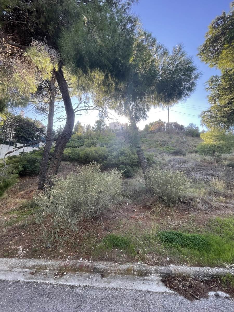 (For Sale) Land Plot || Athens North/Penteli - 1.049 Sq.m, 160.000€ 